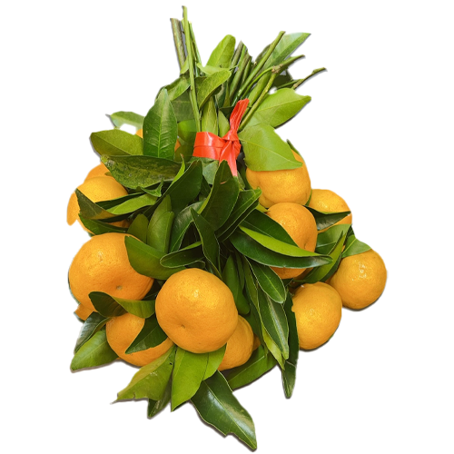Tangerine With Leaf Leave