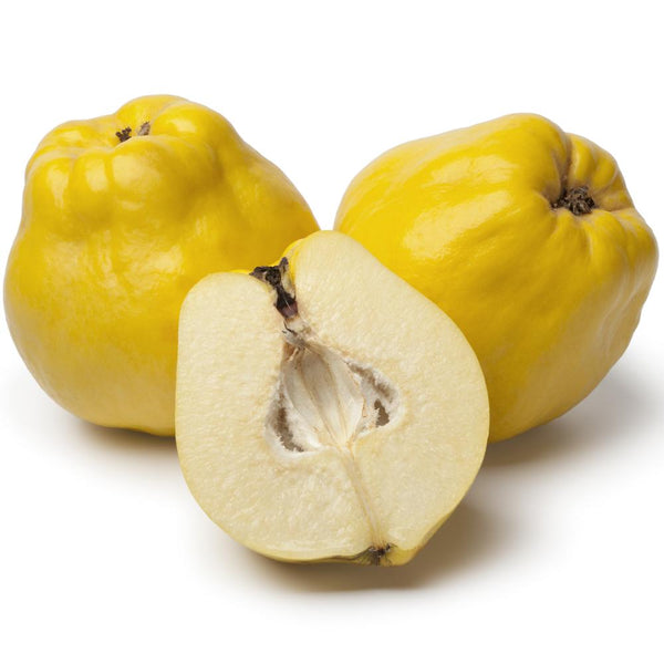 Quince Pear