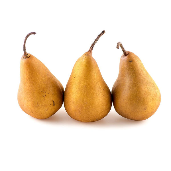 Golden Bosc Pear